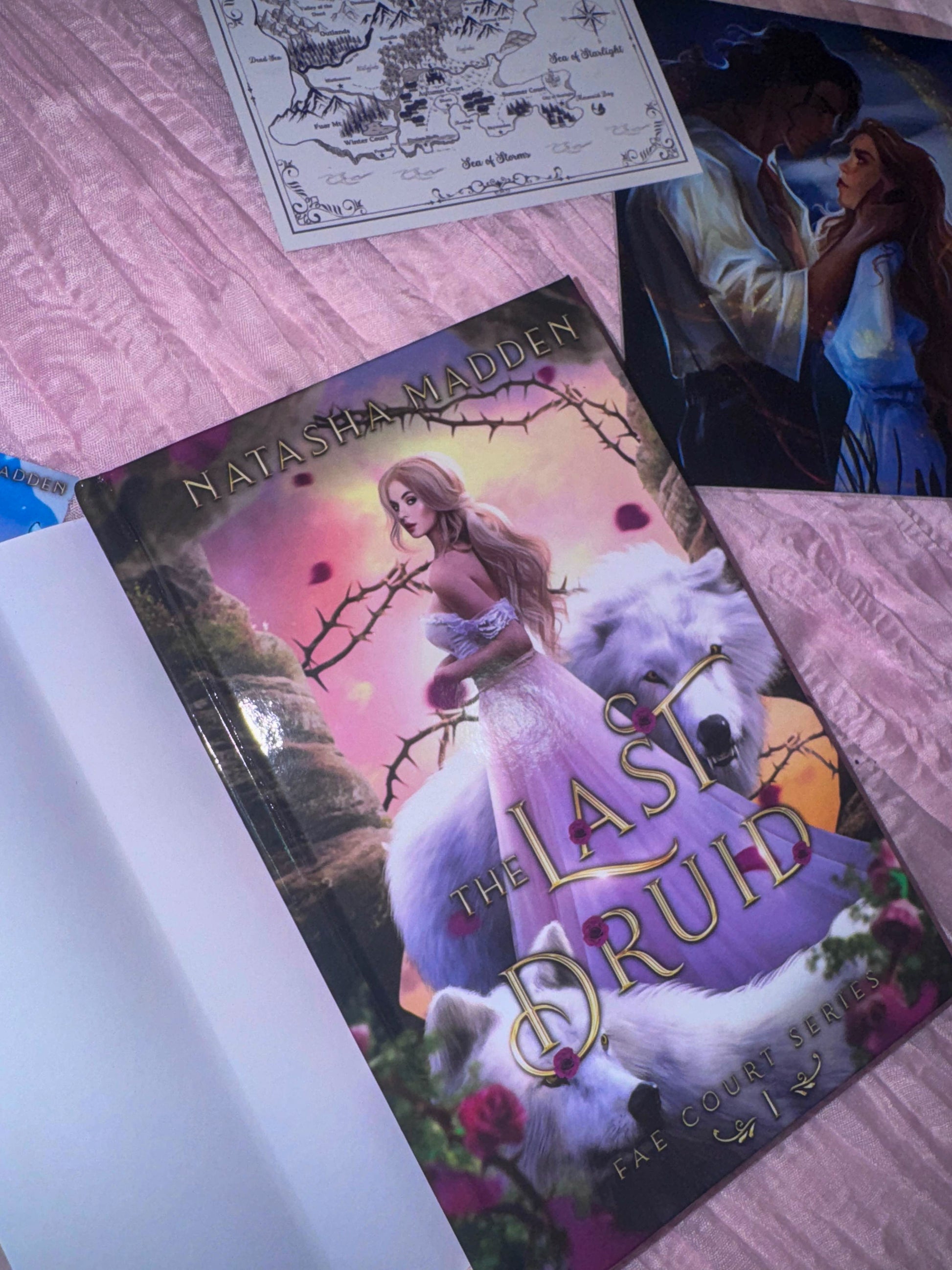 The Last Druid - hardcover