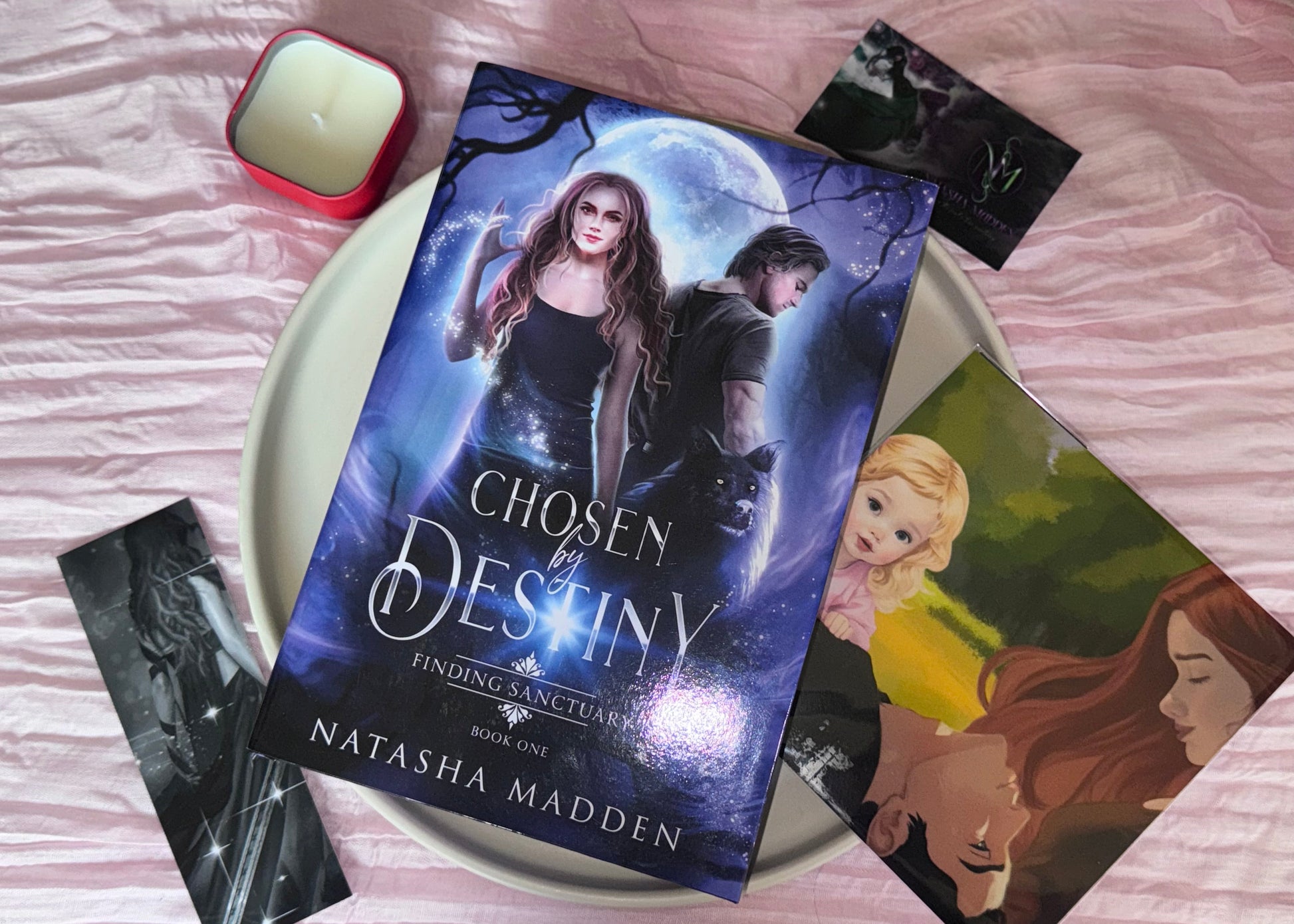 Chosen By Destiny SE book 1