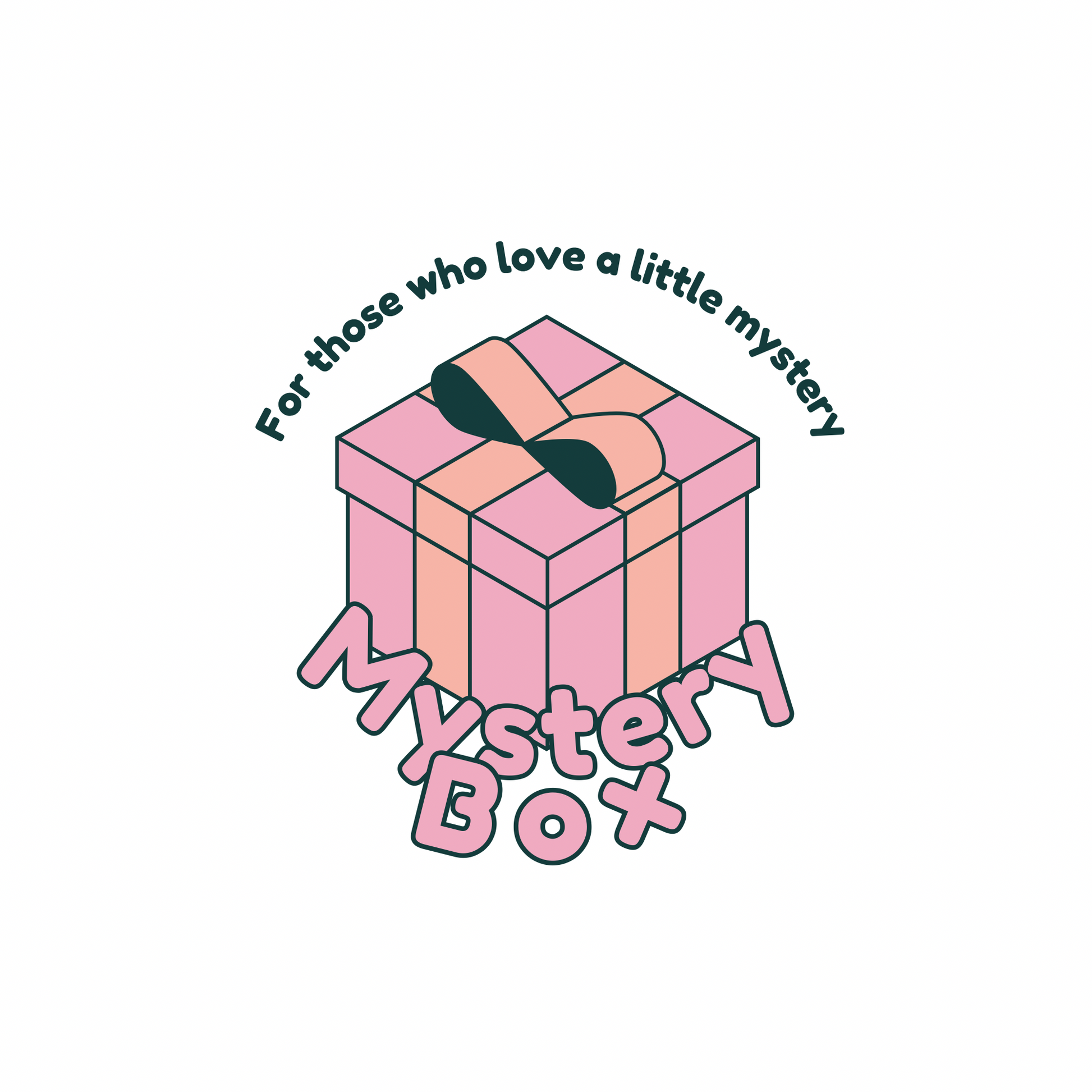 Mystery book box